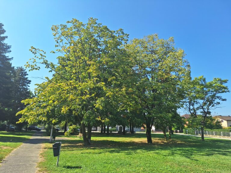krajobraz
