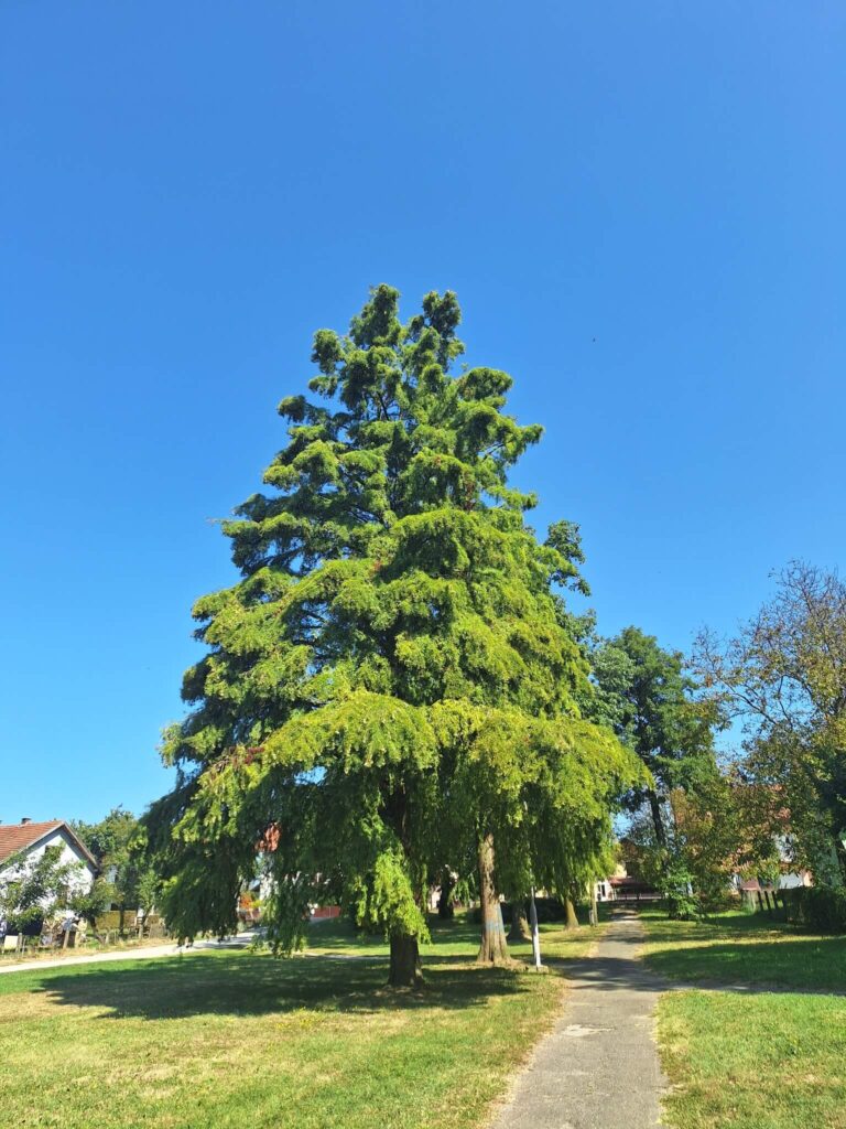 krajobraz